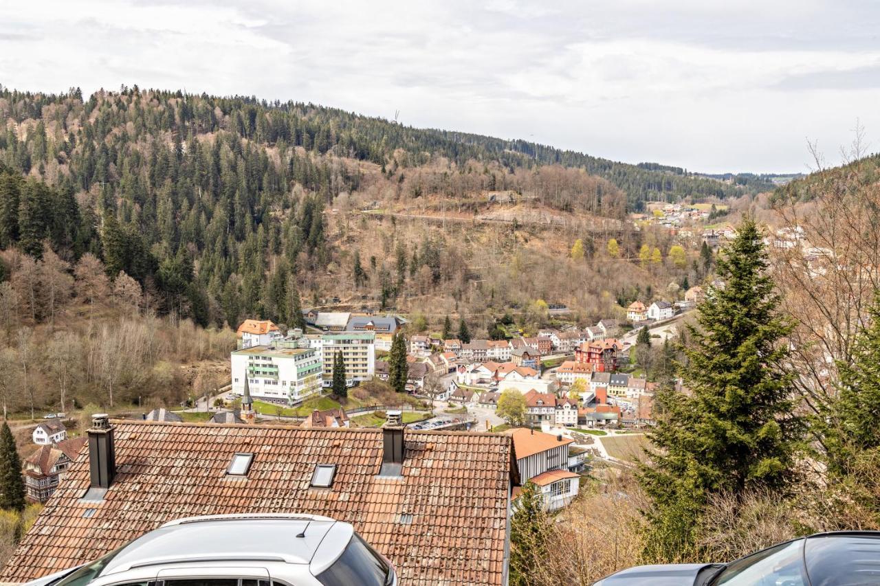 Ferienappartement Sonnenhof Triberg im Schwarzwald Exterior photo